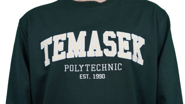 TP Varsity Pullover - Image 10